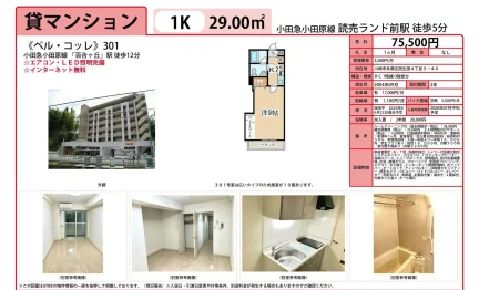 ベル・コッレ 301号 0