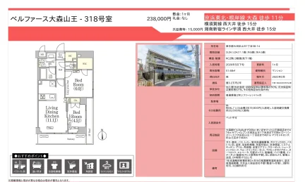 ベルファース大森山王 318号 0