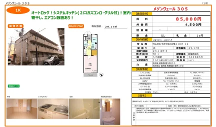 トレビナ 305号 0