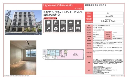 Esperanza Shinozaki 303号 0
