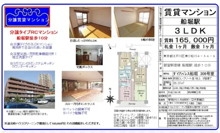 使用ダイアパレス船堀 306号室 306号 0