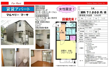 マルベリーマーサ 203号 0
