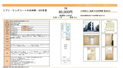 リブリケンズコート中央林間 305号 0