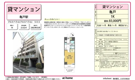 プロスペラル 503号 0