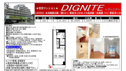 DIGNITE(ディニテ) 0