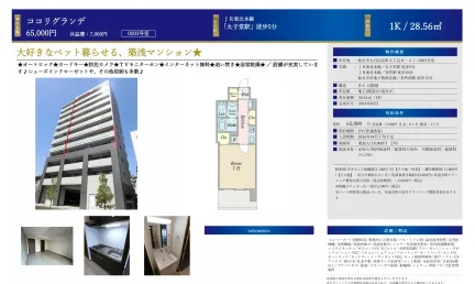 ココリグランデ 0203号 0