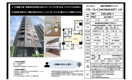 バレ・ソレイユAKIBAEAST 15号 0