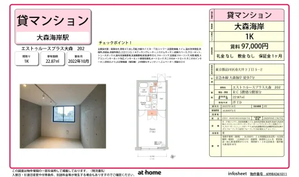 エストゥルースプラス大森 0