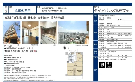 ダイアパレス亀戸立花 10号 0