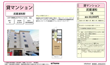 ステラ伸光 0