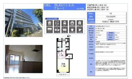 BLEU 203号 0