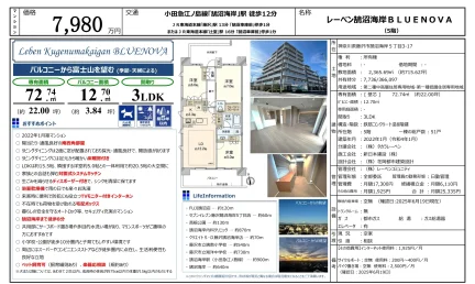 レーベン鵠沼海岸 BLUENOVA 5号 0