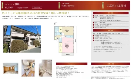 セレッソ濱嶋 0102号室 0
