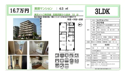 ロイヤルシラコ 802号 0