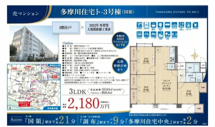 多摩川住宅ト-3号棟 1号 0