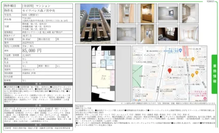 セイワパレス森ノ宮中央 0202 0