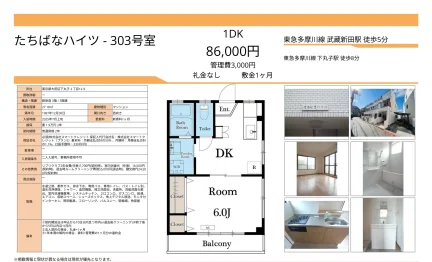 たちばなハイツ 303号 0