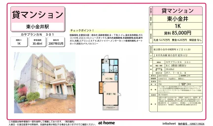 カサブランカ 301号 0
