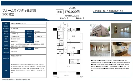 ブルームライフ向ヶ丘遊園 206号 0