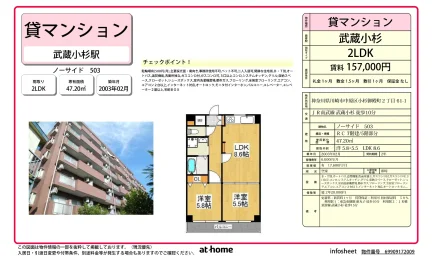 ノーサイド 503 503号 0