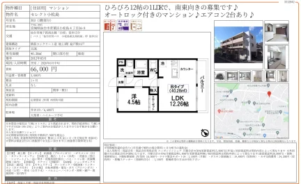 セレクト小松島 303号 0