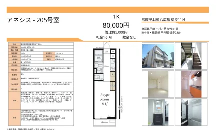 アネシス 205号 0