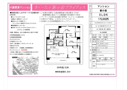 ネバーランド 新小岩ブライティス 204号室 0