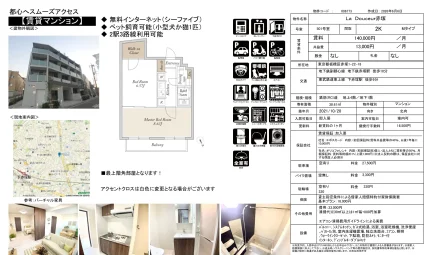 La Douceur 赤塚 501号 0