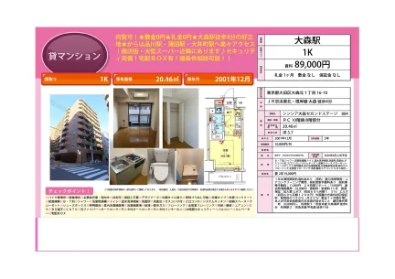 シンシア大森セカンドステージ 804 804 0