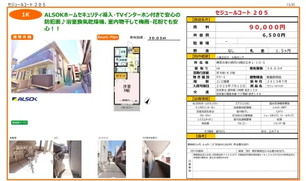 セジュールウィット 205号 0