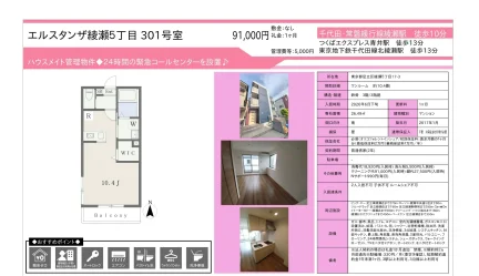 エルスタンザ綾瀬5丁目 301号 0