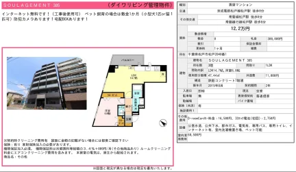 SOULAGEMENT 305 305号 0