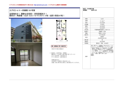 エグゼシャトー四番館 101号 0