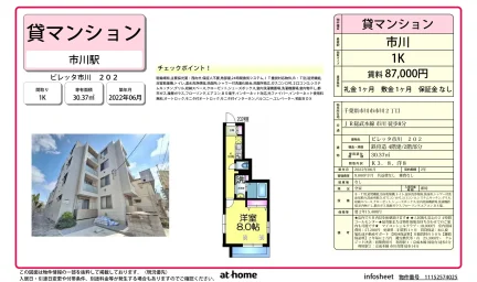 ビレッタ市川 202 202号 0