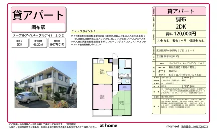 メープルアイ 202 0