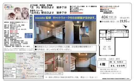 Government 404号 0