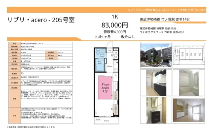 リブリ・アセロ 205号 0