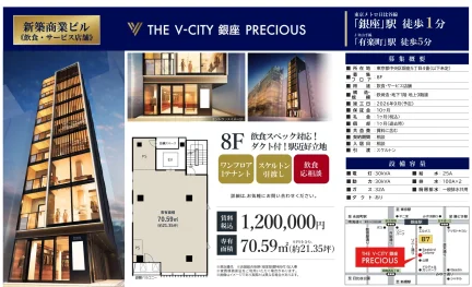 THE V-CITY 銀座 PRECIOUS 8F 0