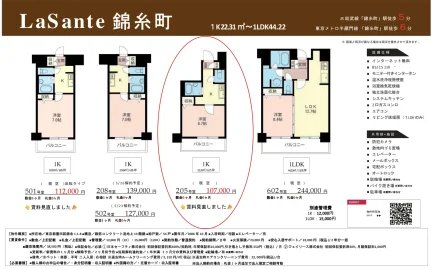 LaSante 錦糸町 501号室 0