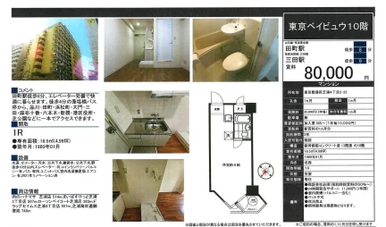 東京ベイビュウ 10号 0