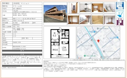 ドリーム15 305号 0