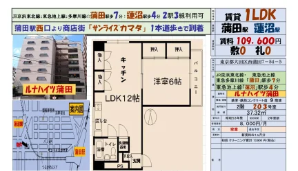 ルナハイツ蒲田 203号 0
