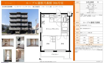 ルーブル蓮根弐番館 306号 0