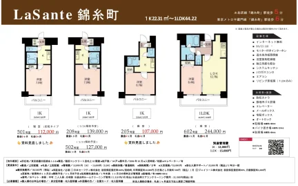 LaSante 錦糸町 501 0