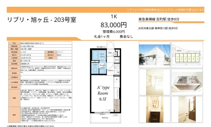リブリ旭ヶ丘 203号 0