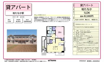 柏たなか 204 0