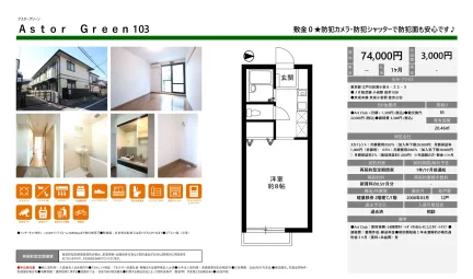 アスターグリーン 103 0