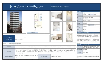 トゥルーハーモニー 0101号 0