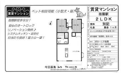 ポローニア指扇 305号 0