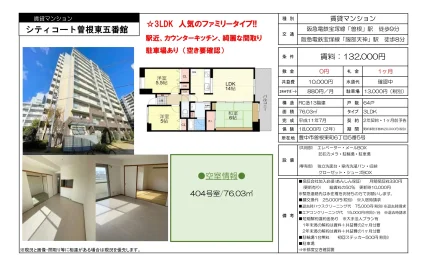 シティコート曽根東五番館 404号 0
